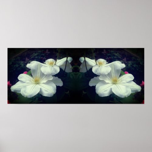 White Clematis Flowers Mirror Abstract Poster