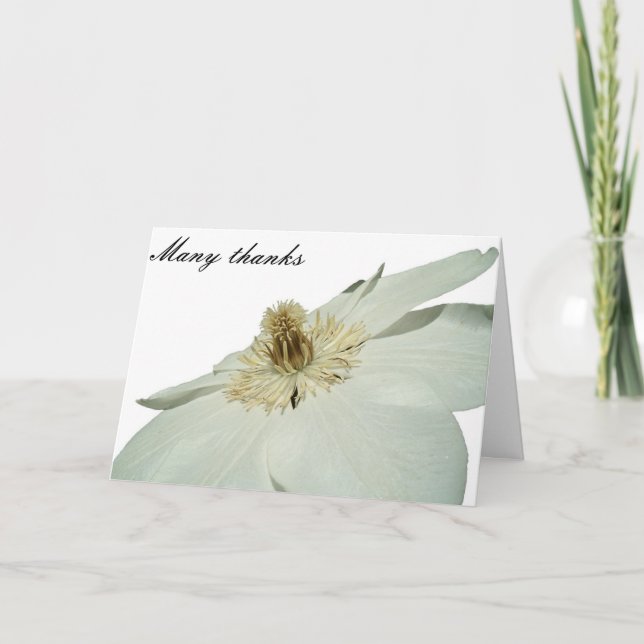 white clemetis thank you card (Front)