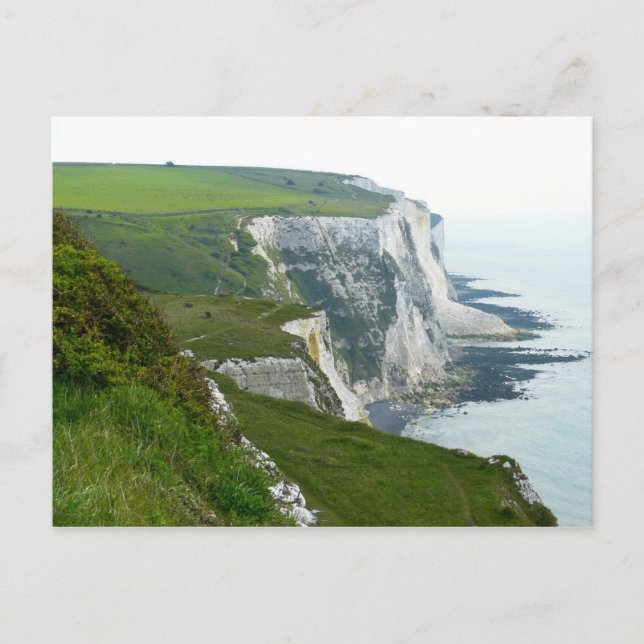 White Cliffs Of Dover,England Postcard (Front)