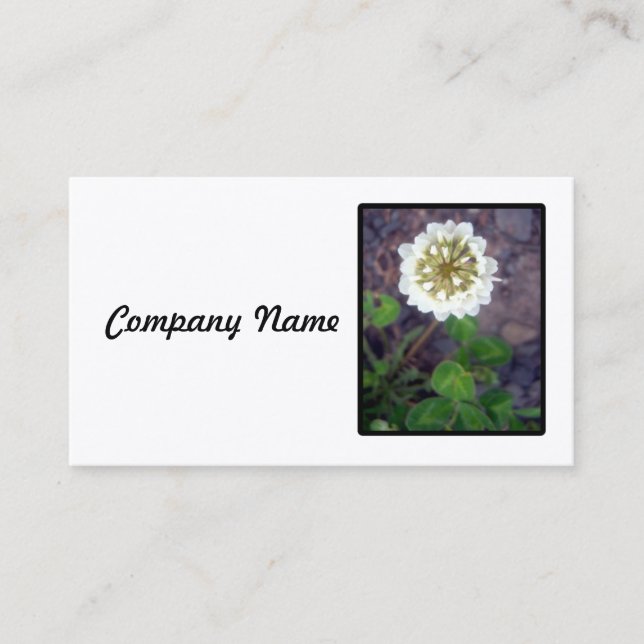 White Clover Blossom Business Card (Front)