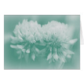 White Clover Wildflowers (Front Horizontal)