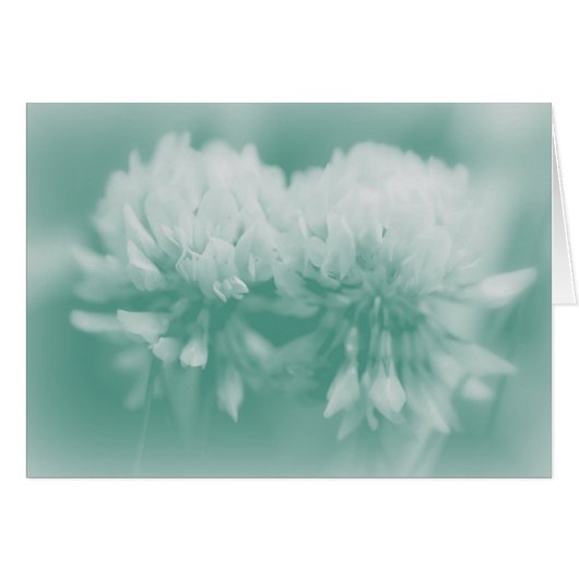 White Clover Wildflowers Cards (Front Horizontal)