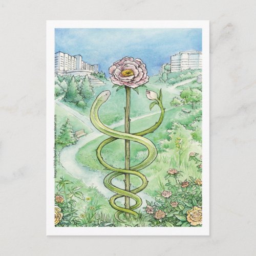 White Coat Green World postcard Postcard