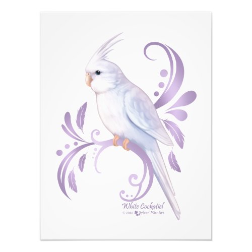White Cockatiel Photo Print