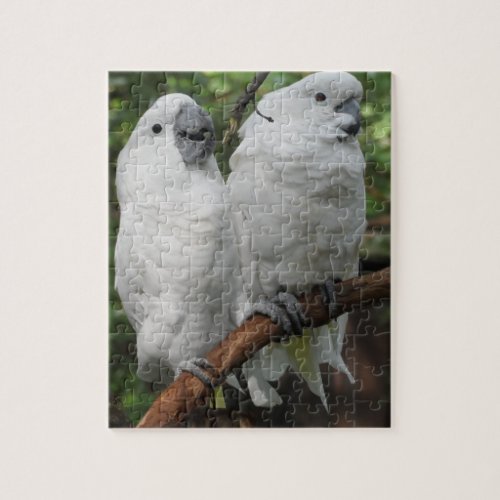 White Cockatoos Perched on a Branch Jigsaw Puzzle