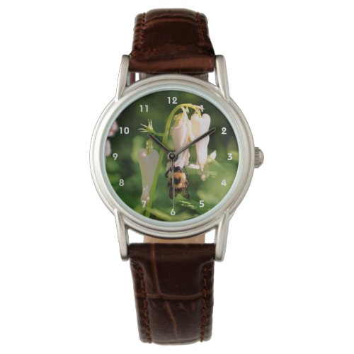 White Columbine Flower And Bumble Bee    Watch