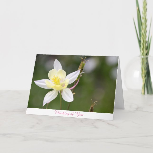 White Columbine Thinking of You Card (Front)