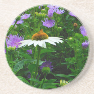White Cone flower, purple flowers and moth Drink Coaster