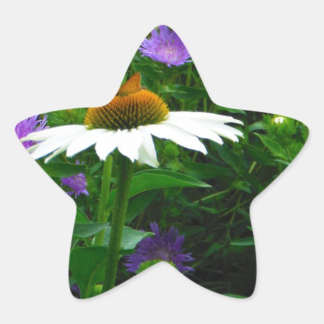 White Cone flower, purple flowers and moth Star Sticker (Front)