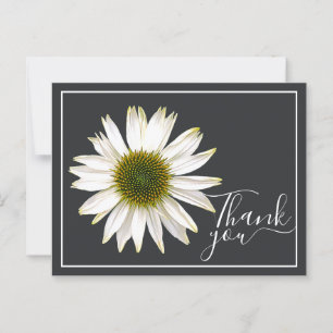 White Coneflower Charcoal Gray Backdrop Thank You Postcard