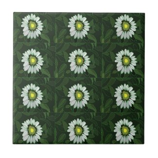 White Coneflower Floral Pattern 