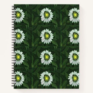 White Coneflower Floral Pattern