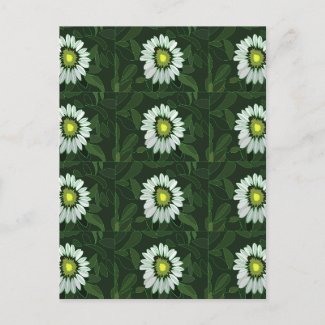 White Coneflower Floral Pattern