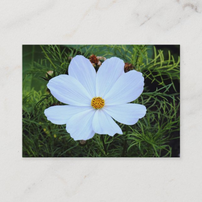 White Cosmos Business Card (Front)