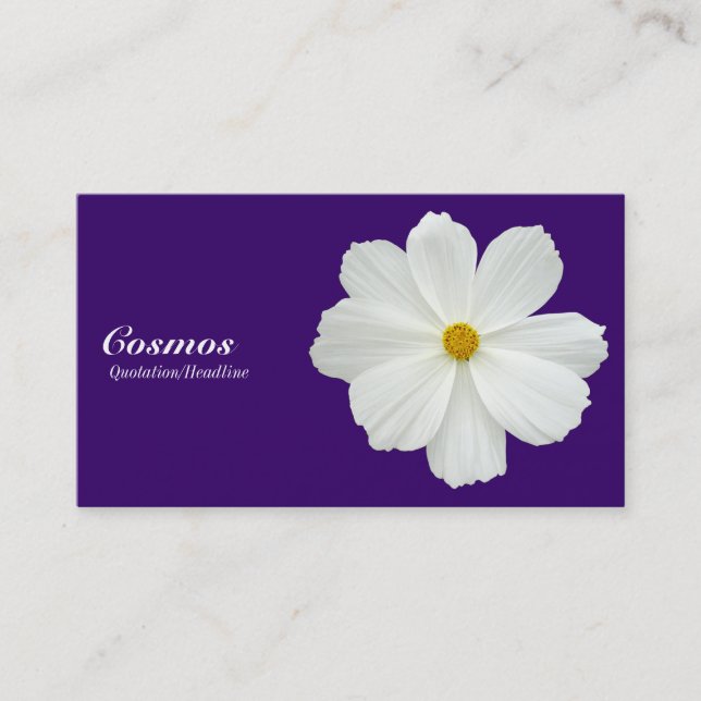 White Cosmos - Deep Purple 330066 Business Card (Front)