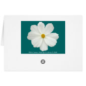 White Cosmos Flower Cards (Back Horizontal)