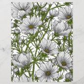 White cosmos flowers (Back)