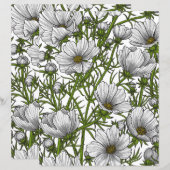 White cosmos flowers (Front/Back)