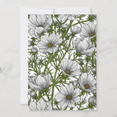 White cosmos flowers (Front)