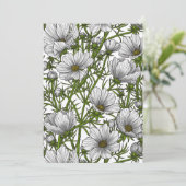 White cosmos flowers (Standing Front)