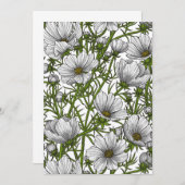 White cosmos flowers (Front/Back)