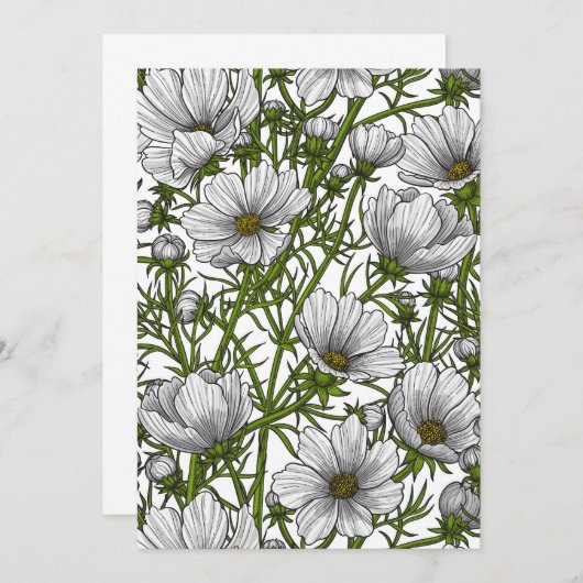 White cosmos flowers (Front/Back)