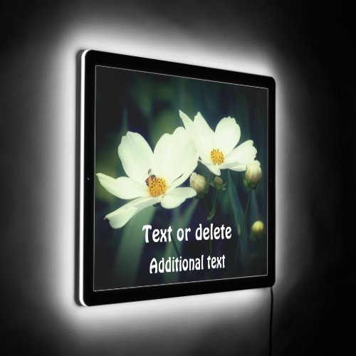 White Cosmos Flowers And Bee Personalized LED Sign