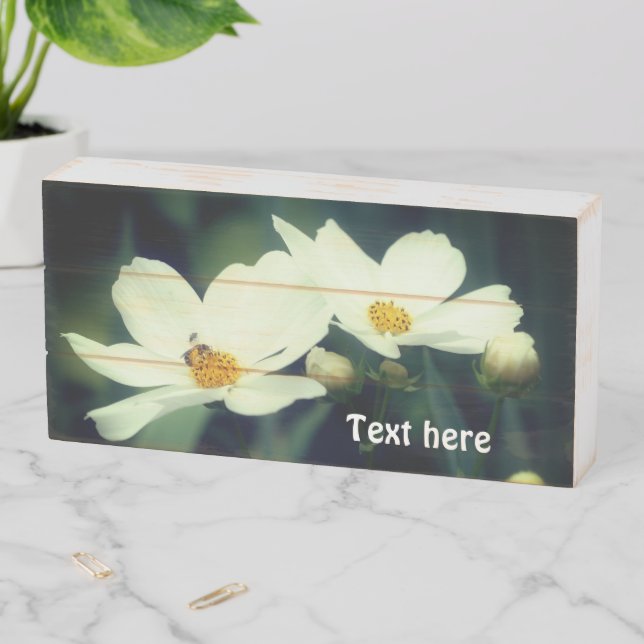 White Cosmos Flowers And Bee Personalized Wooden Box Sign (In Situ Horizontal)
