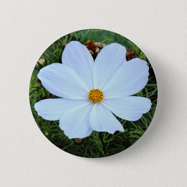 White Cosmos Pinback Button (Front)