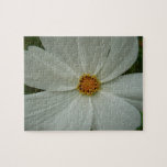 White Cosmos Summer Wildflower Floral Jigsaw Puzzle