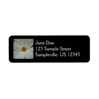 White Cosmos Summer Wildflower Floral Label