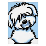 White Coton de Tulear Face