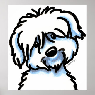 White Coton de Tulear Face Poster