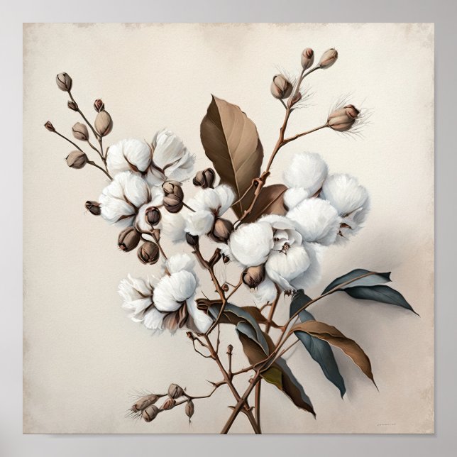 White Cotton Flowers Art Print Poster (Front)