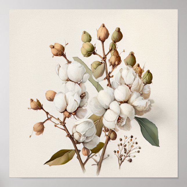White Cotton Flowers Art Print Poster (Front)