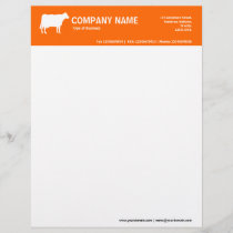White Cow 2in Color Header - Orange FF6600 Letterhead