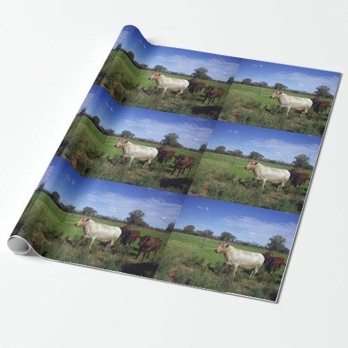 White Cow And His Herd Wrapping Paper