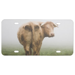 White Cow Bull looking Back in a Foggy Field License Plate