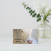 White Cow Business Cards (Standing Front)