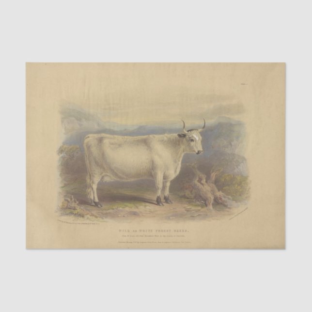  White Cow Ephemera Decoupage Vintage Farm Tissue Paper (Front)