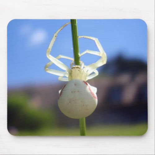 White Crab Spider Mouse Mat