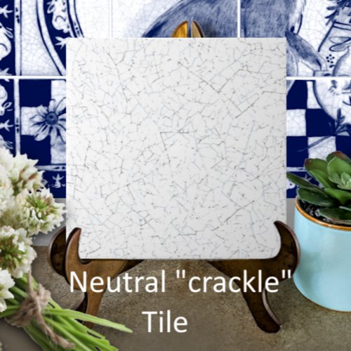 White Crackled _ Look Vintage Antique Backsplash Ceramic Tile