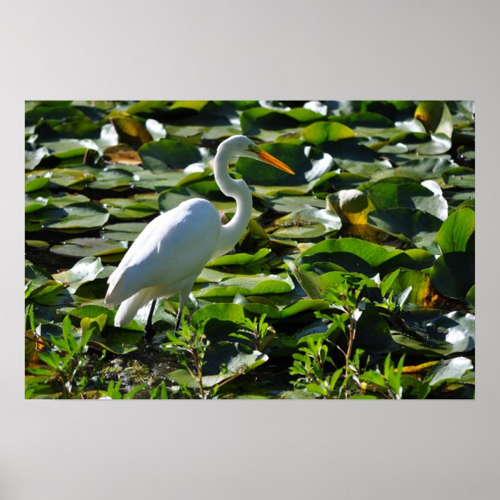 White Crane Bird 3 Poster