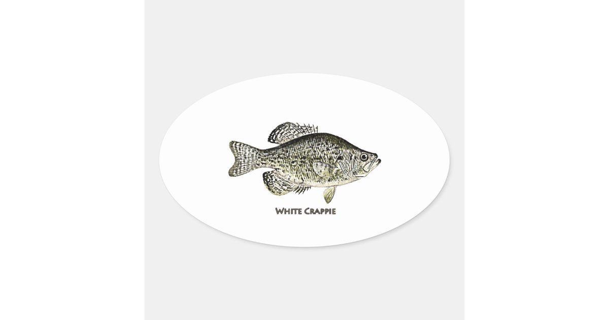 White Crappie Logo (titled) Oval Sticker