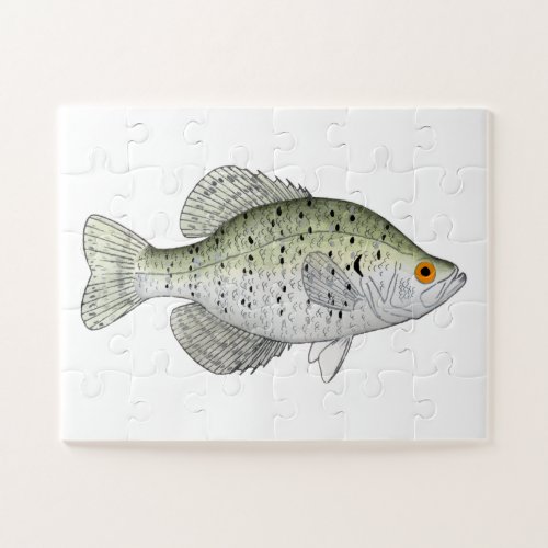 White Crappie Magnet Jigsaw Puzzle