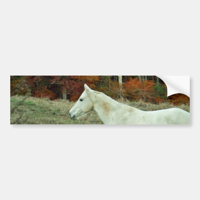 White Cream Horse in an Autumn Field Bumper Sticker (Front)