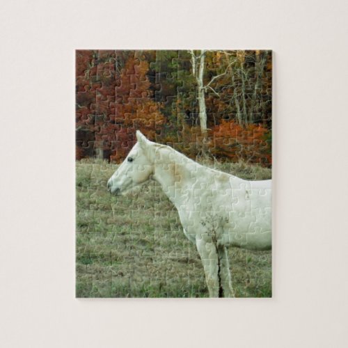 White Cream Horse in an Autumn Field Jigsaw Puzzle
