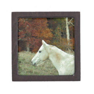 White Cream Horse in an Autumn Field Keepsake Box