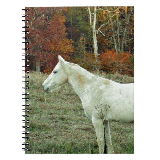 White Cream Horse in an Autumn Field Notebook (Front)