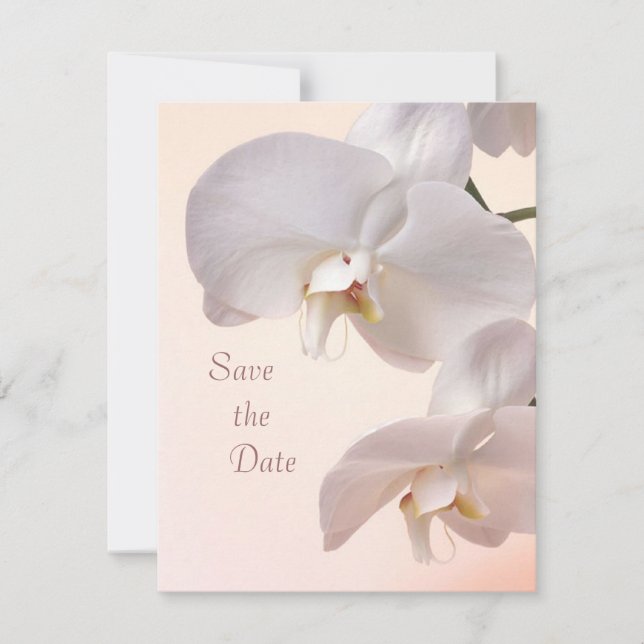 White cream orchids Save the Date (Front)